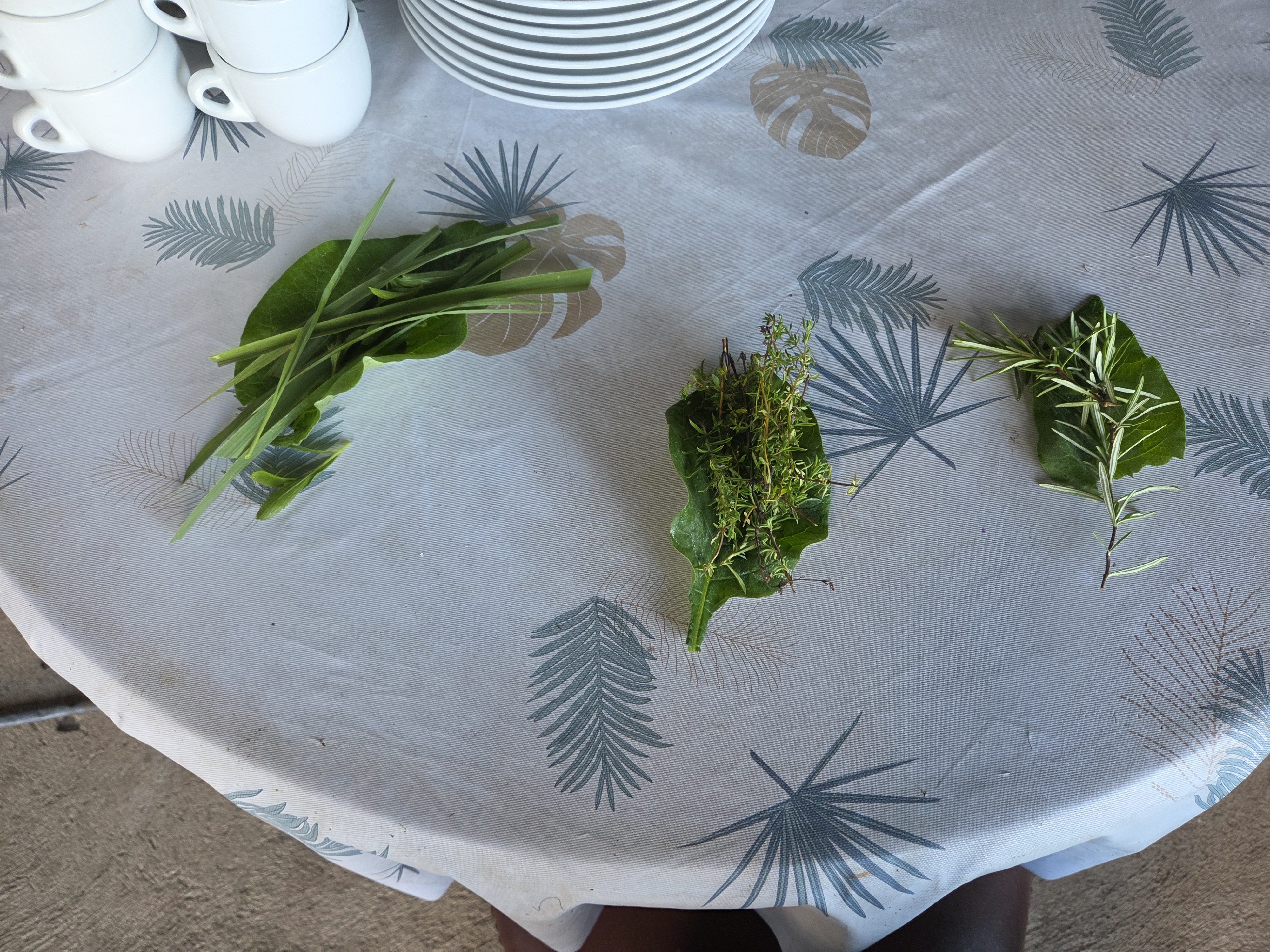 Frische Kräuter und Pflanzen auf einem Tisch